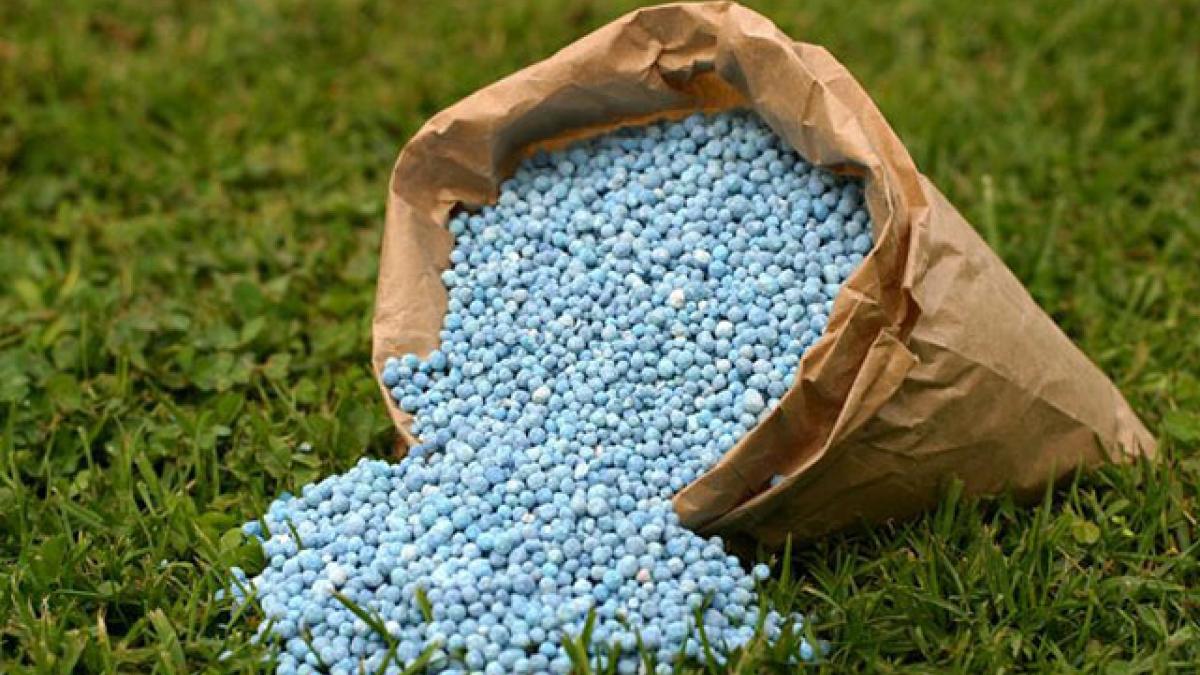 Refractory products for fertilizer industry India